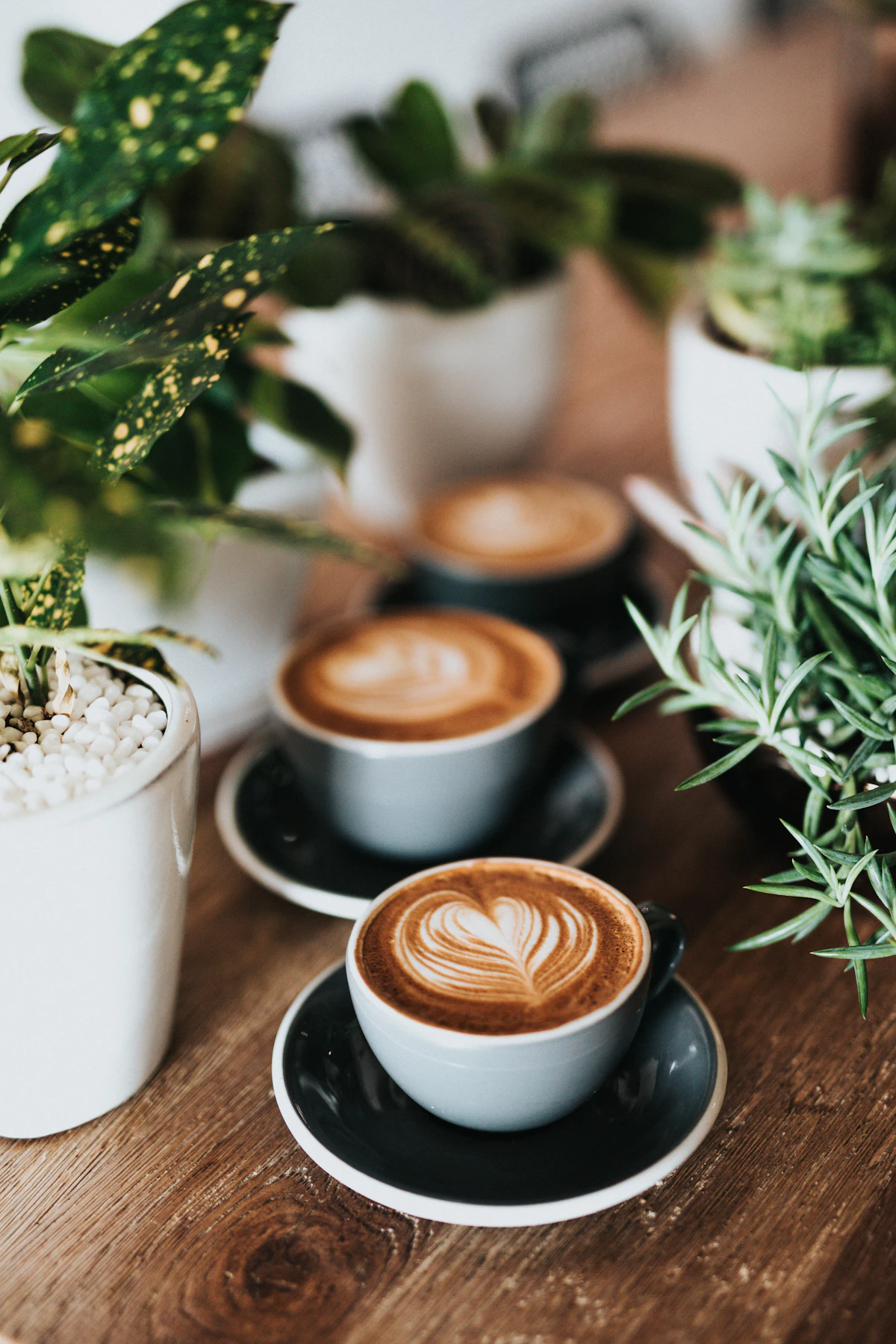 Vers gebrande koffiebonen van dichtbij